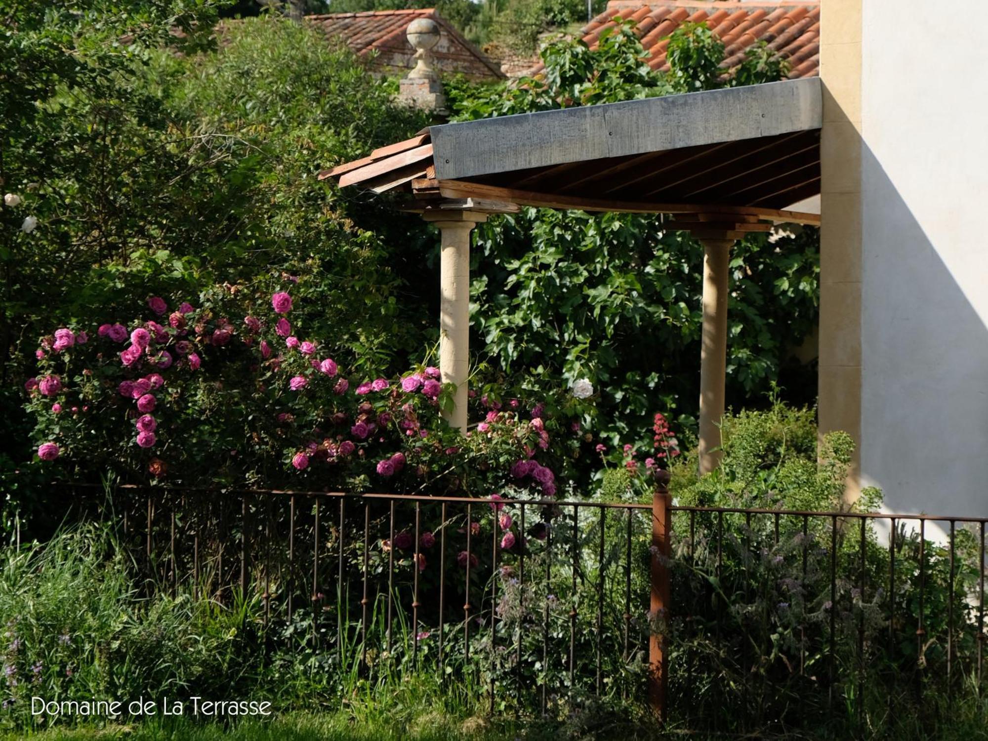 Domaine De La Terrasse Apartment Carbonne Exterior photo